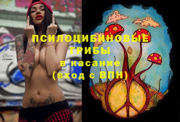 эйфоретик Медногорск