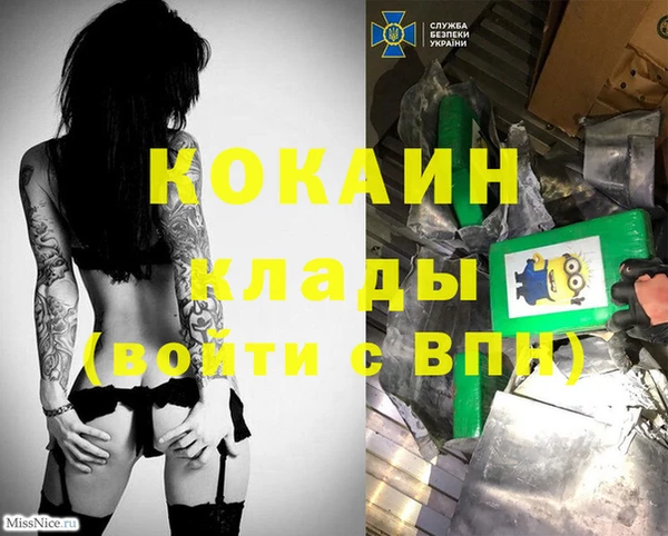 твердый Мегион