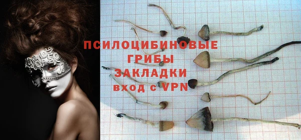 a pvp Медвежьегорск
