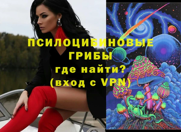 твердый Мегион