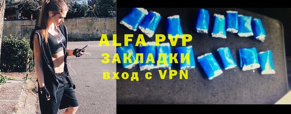 твердый Мегион