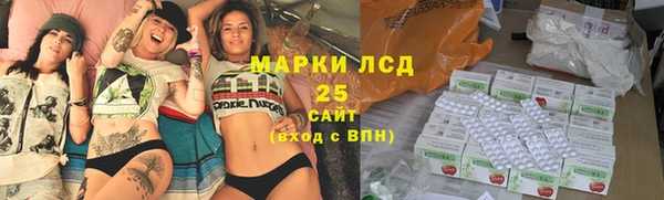 твердый Мегион