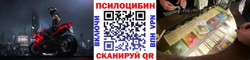 Галлюциногенные грибы Cubensis  Ессентукская 
